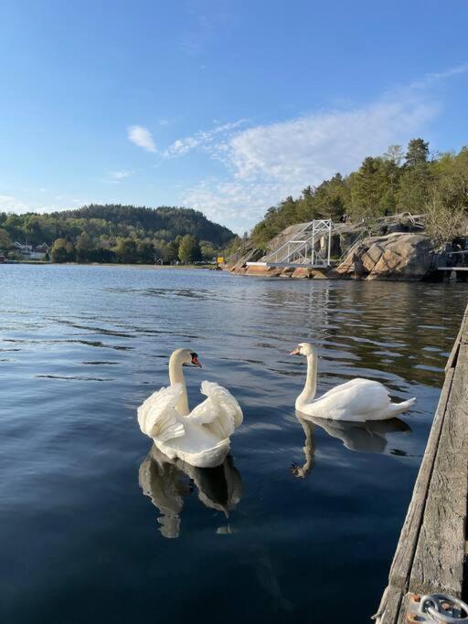 Leilighet Ved Sjoen Med Strand Apartment Porsgrunn Exterior photo
